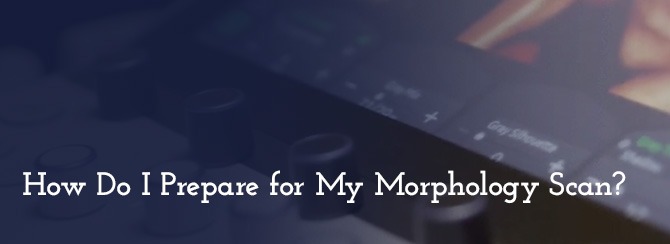 How Do I Prepare for My Morphology Scan?