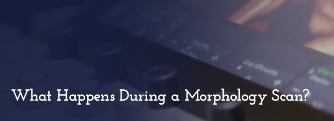 What Happens During a Morphology Scan?