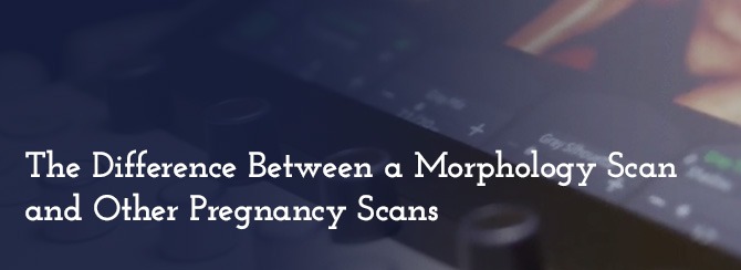 The Difference Between a Morphology Scan and Other Pregnancy Scans