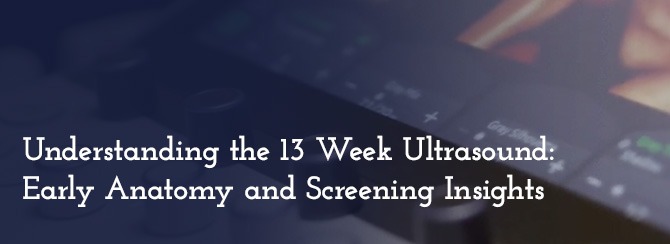 Understanding the 13 Week Ultrasound: Early Anatomy and Screening Insights